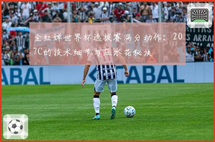 全红婵世界杯选拔赛满分动作：207C的技术细节与压水花秘诀